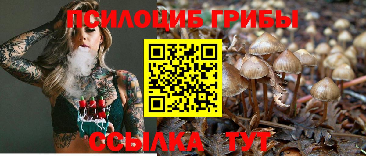 Псилоцибиновые грибы ЛСД  закладка  Истра  Вход с VPN 