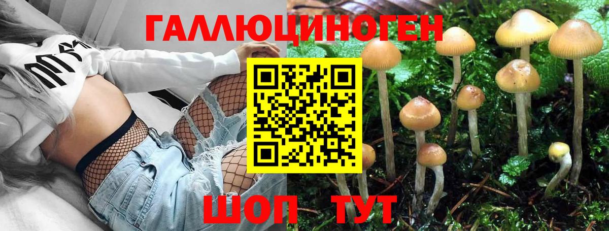 Галлюциногенные грибы GOLDEN TEACHER Истра